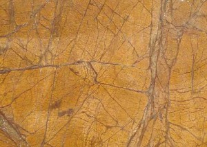 Rainforest Gold